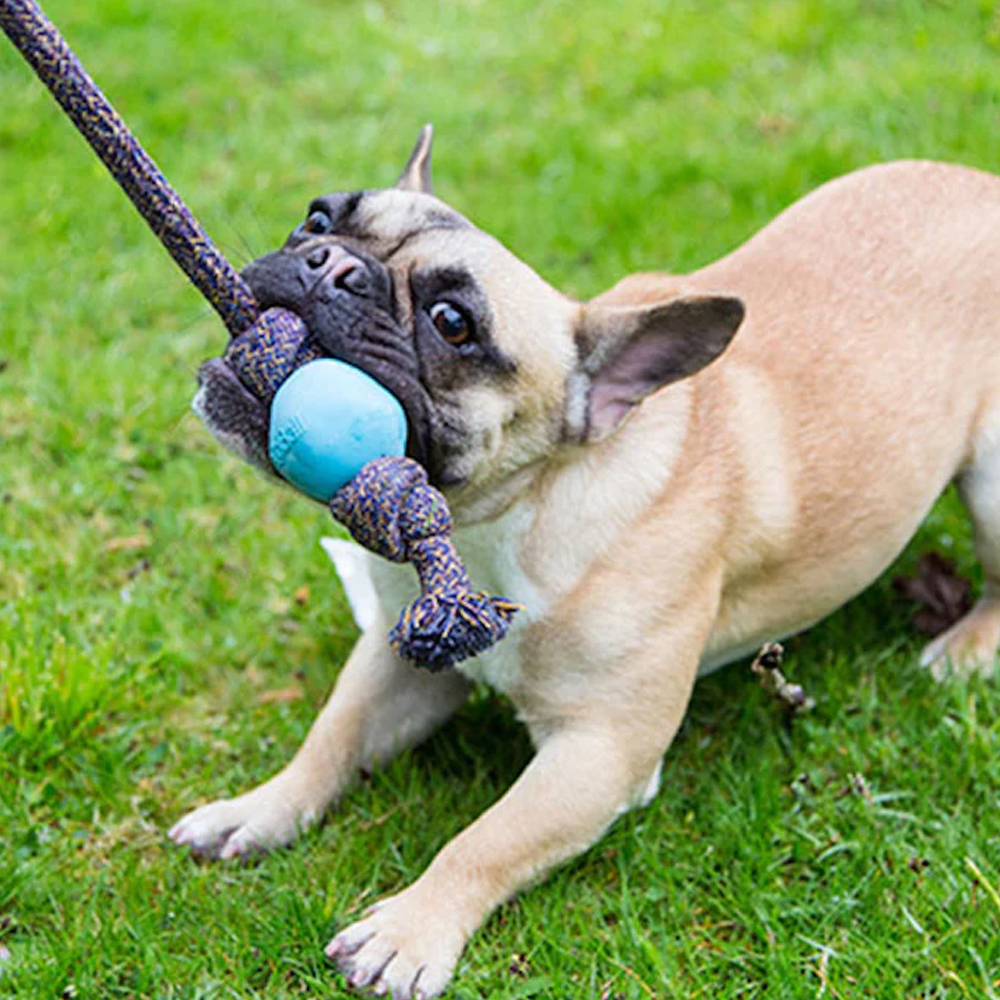 Natural Rubber Rope Ball Dog Toy